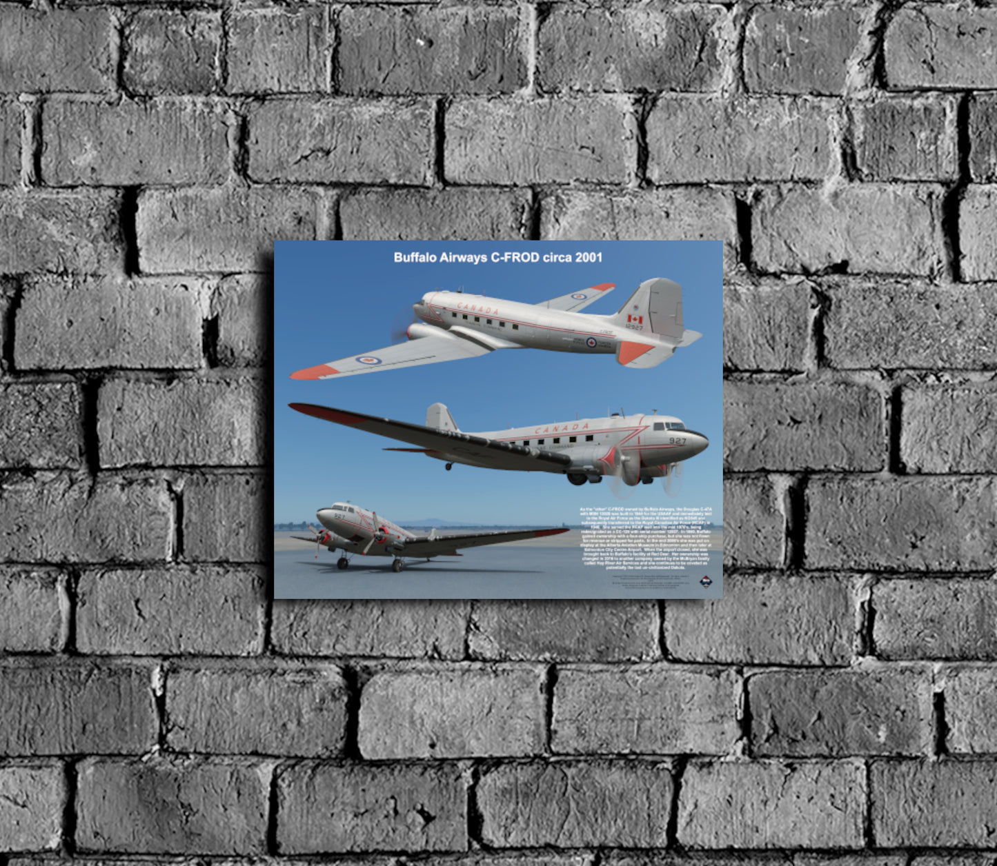 Design 1 (20" x 16") Douglas CC-129 13028 Buffalo Airways C-FROD 2001
