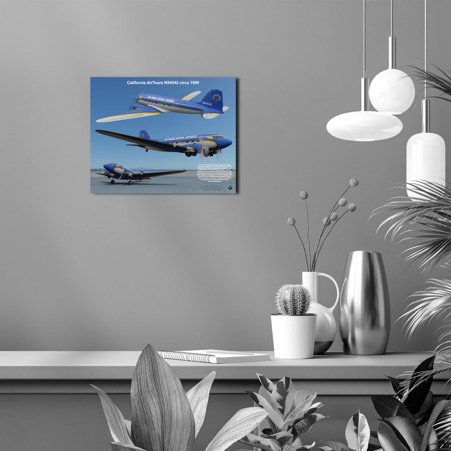 Design 1 (20" x 16") Douglas DC-3 34378 California AirTours N54542 1990