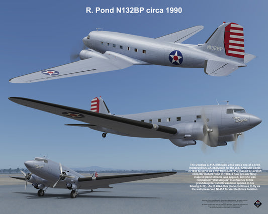 Design 1 (20" x 16") Douglas DC-3 2145 R. Pond N132BP 1990